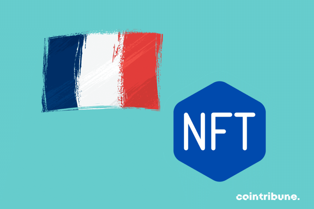 Le drapeau de la France avec la mention NFT