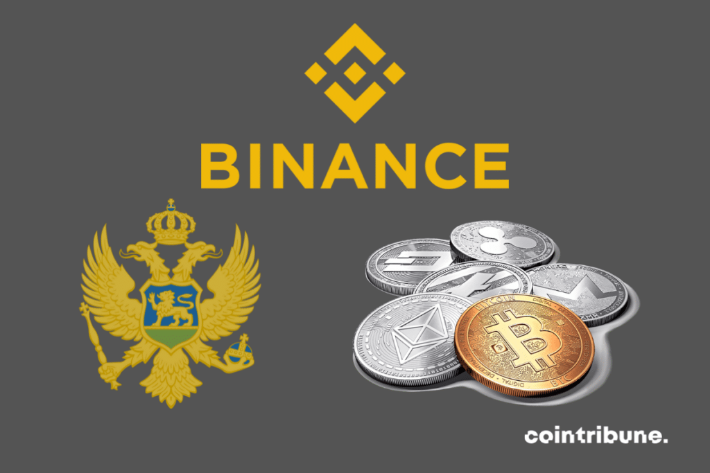 Emblème Monténégro, logo de Binance et pièces de cryptomonnaies