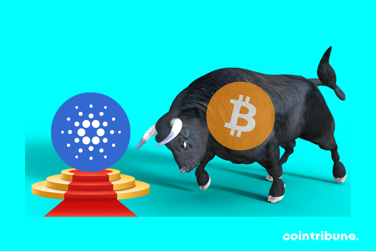 Photos de tapis rouge et de bull, logos de bitcoin et de Cardano