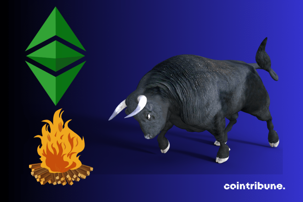 Photo de bull, feux de bois et logo d'Ethereum