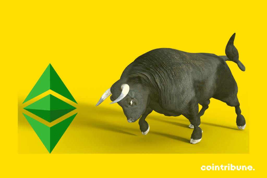 Photo de bull, logo d'Ethereum