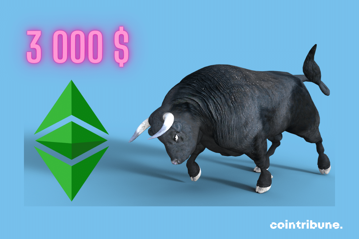 Photo de bull, logo d'Ethereum et mention "3000 $"