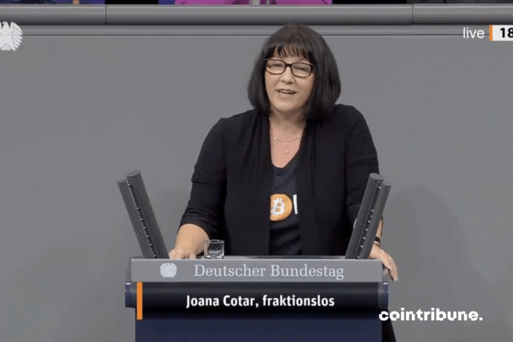 Bitcoin bundestag CBDC Joana cotar