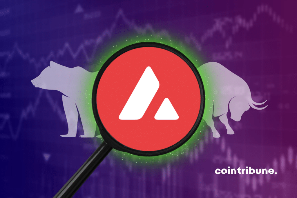 AVAX logo framed by a magnifying glass with a full-color graphic in the background, with a bull and a white bear.