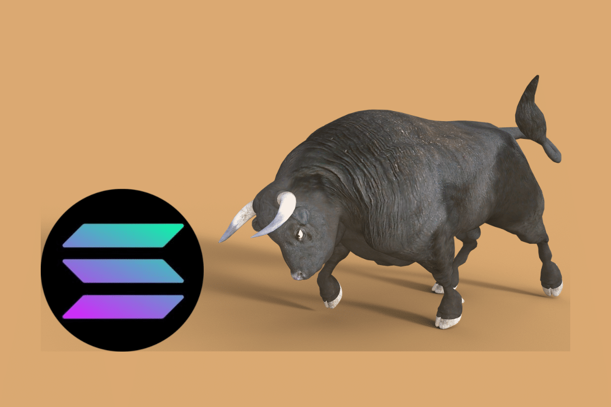 Image d'un bull et logo de Solana