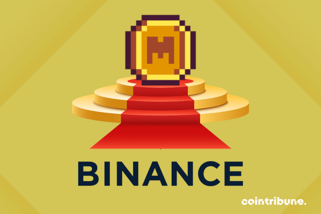 Logo de Binance, vecteur de tapis rouge et logo de Memecoin