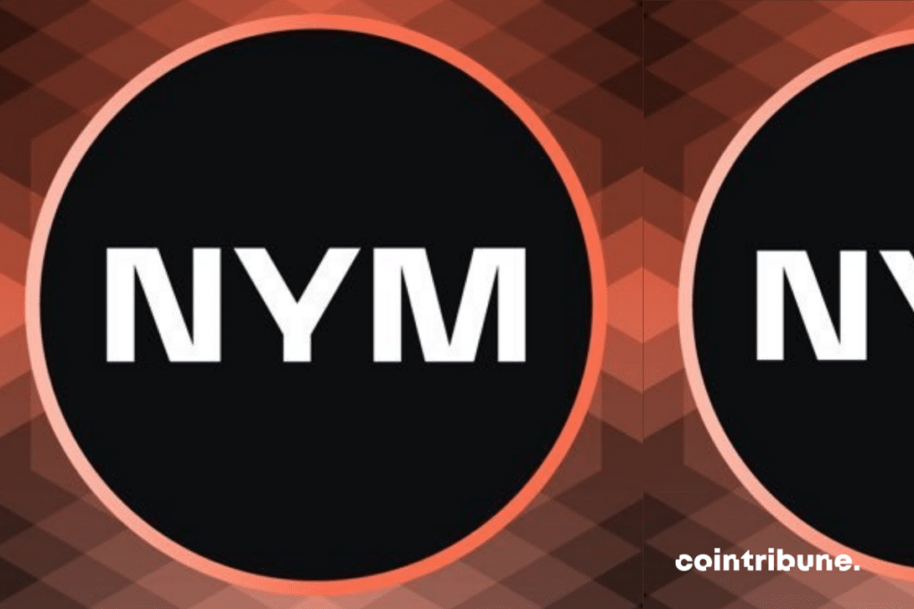 NYM Protocol, une solution de choix pour renforcer la confidentialité et la sécurité sur Internet