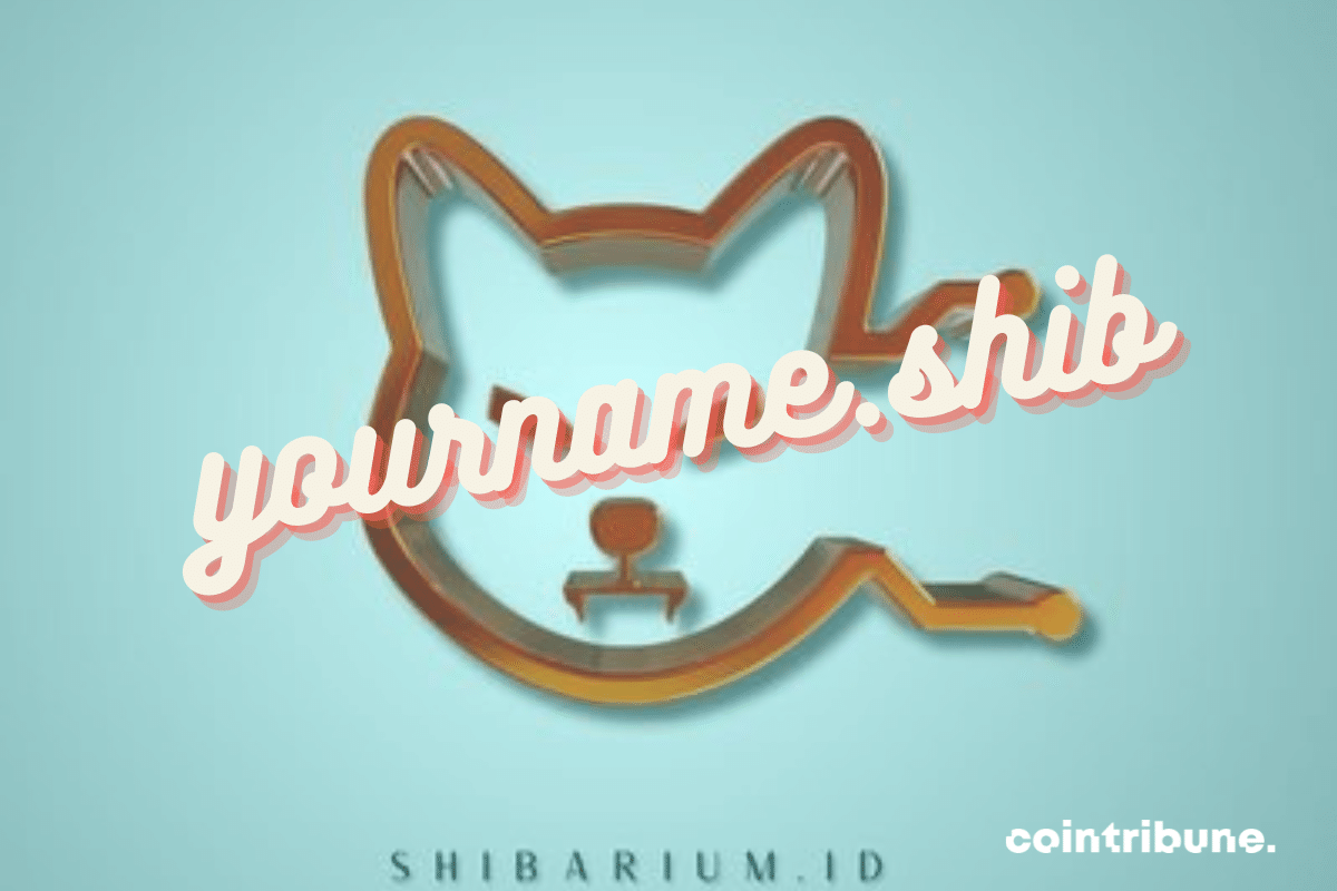 Logo de Shibarium ID et mention "yourname.shib"