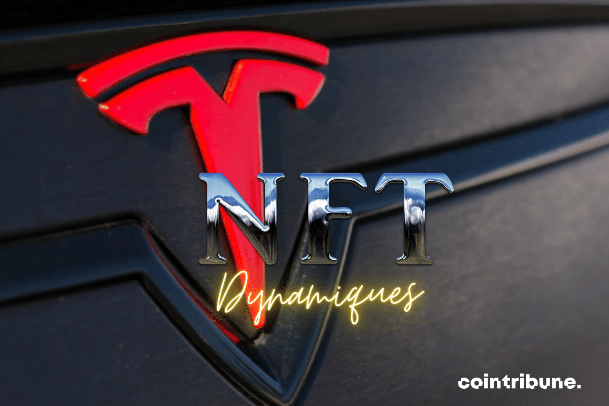 Logos NFT et Tesla, mention "dynamiques"