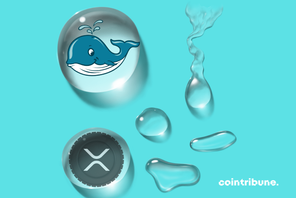 Gouttes d'eau, logo de XRP et dessin de baleine