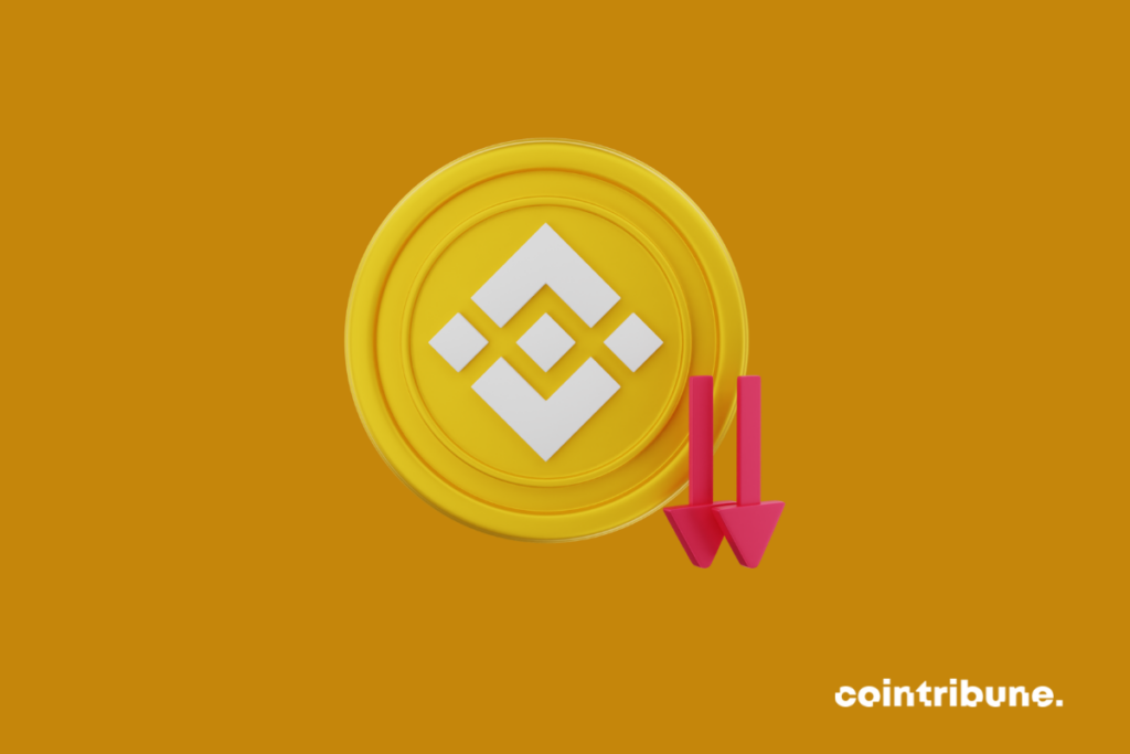 Logo de Binance superposé de deux flèches descendantes pour indiquer la chute du BNB, la crypto native de l'exchange