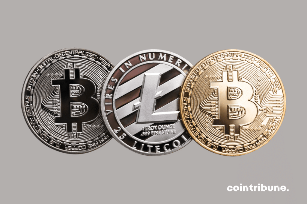 Deux pièces physiques du bitcoin, la crypto phare et une pièce de litecoin, l'un des principaux altcoins