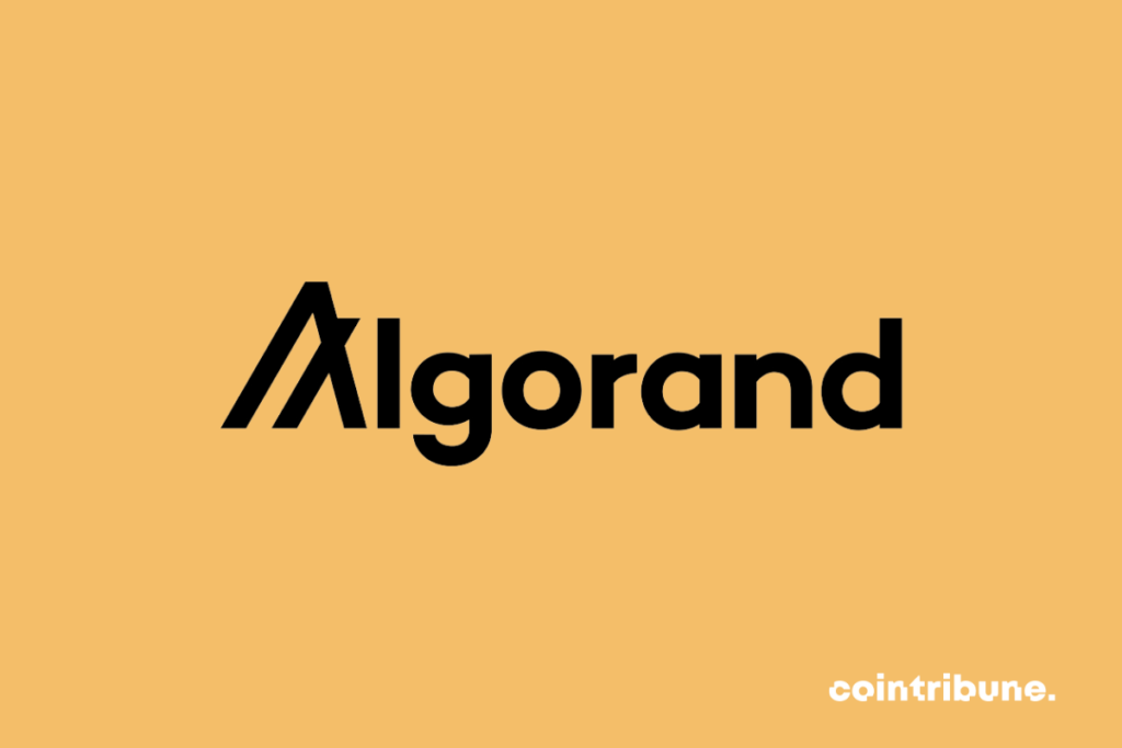 Logo de Algorand, qui devient pionnier du Web3 en Inde grâce à ses multiples partenariats