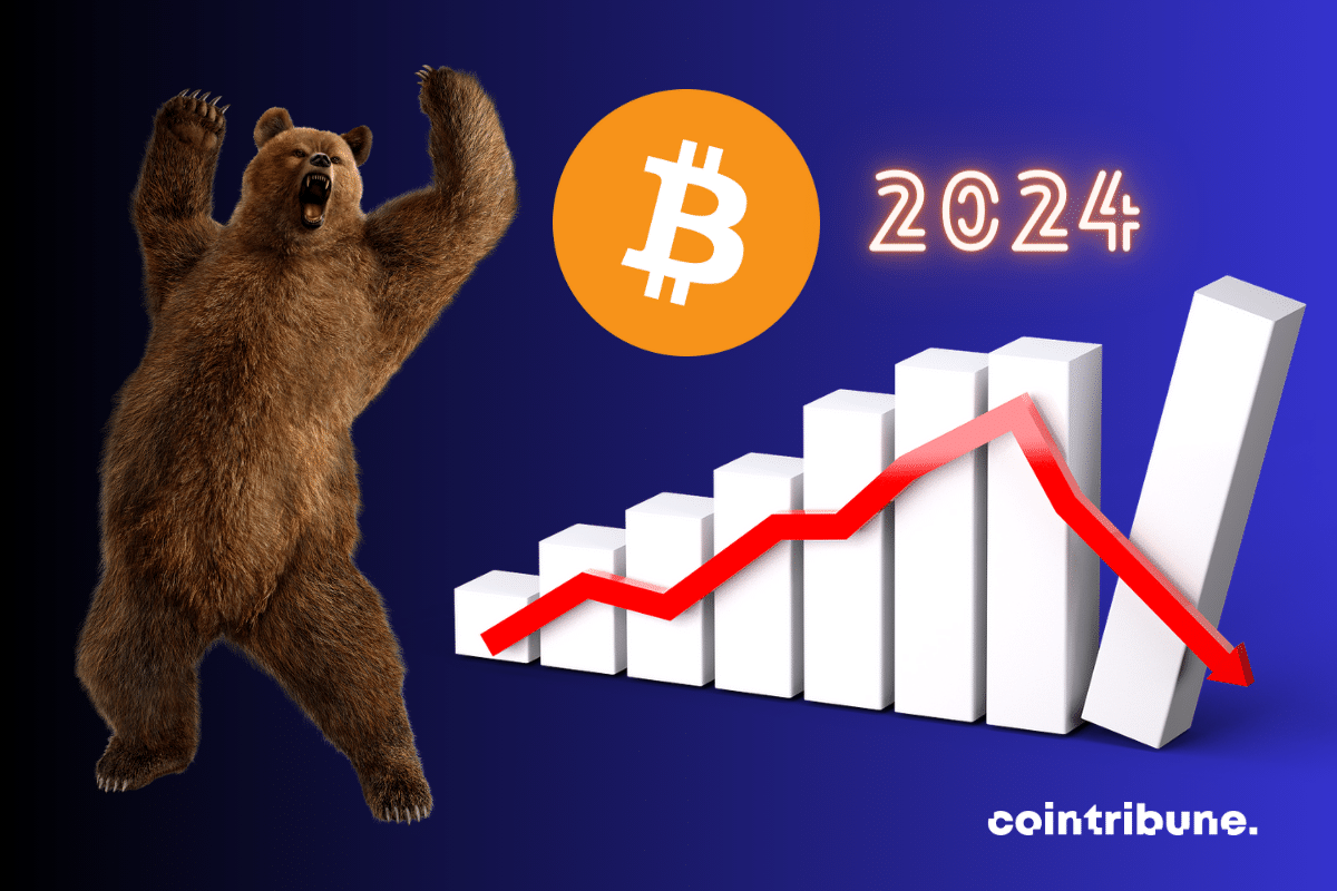Photo de bear, vecteur de baisse, logo de bitcoin et mention "2024"