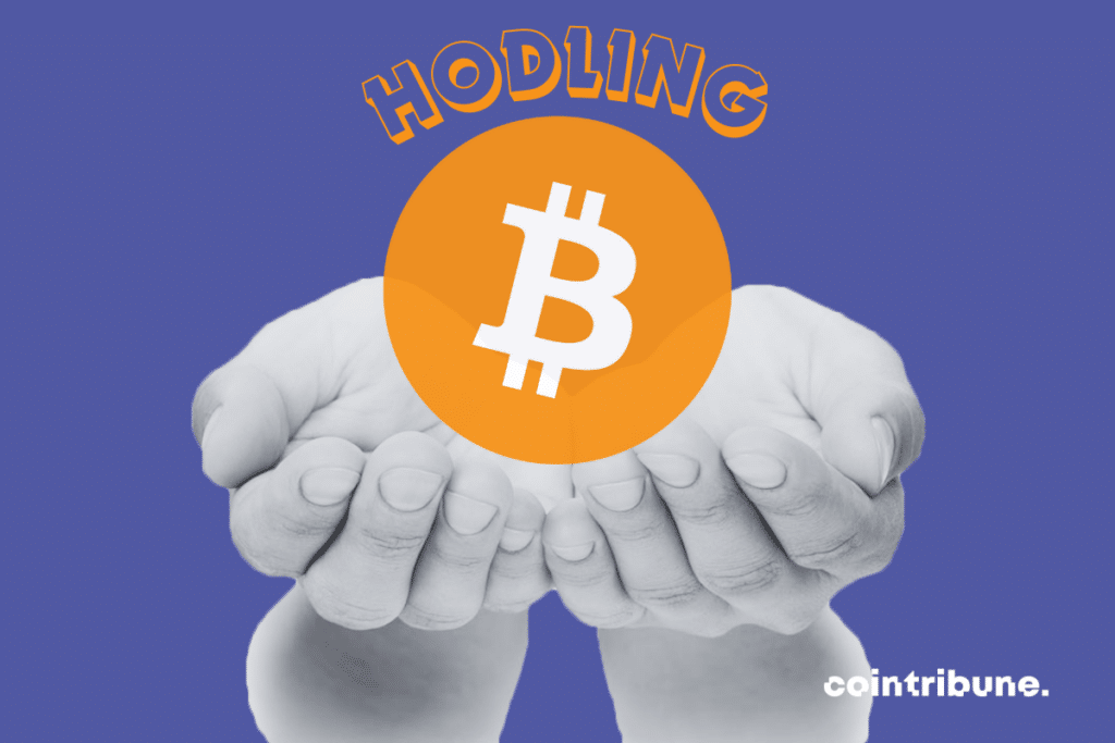 Photo de mains, logo de bitcoin et mention "Hodling"