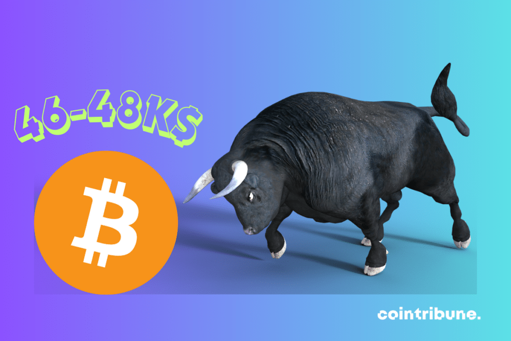 Photo de bull, logo de bitcoin et mention "46-48 K$"