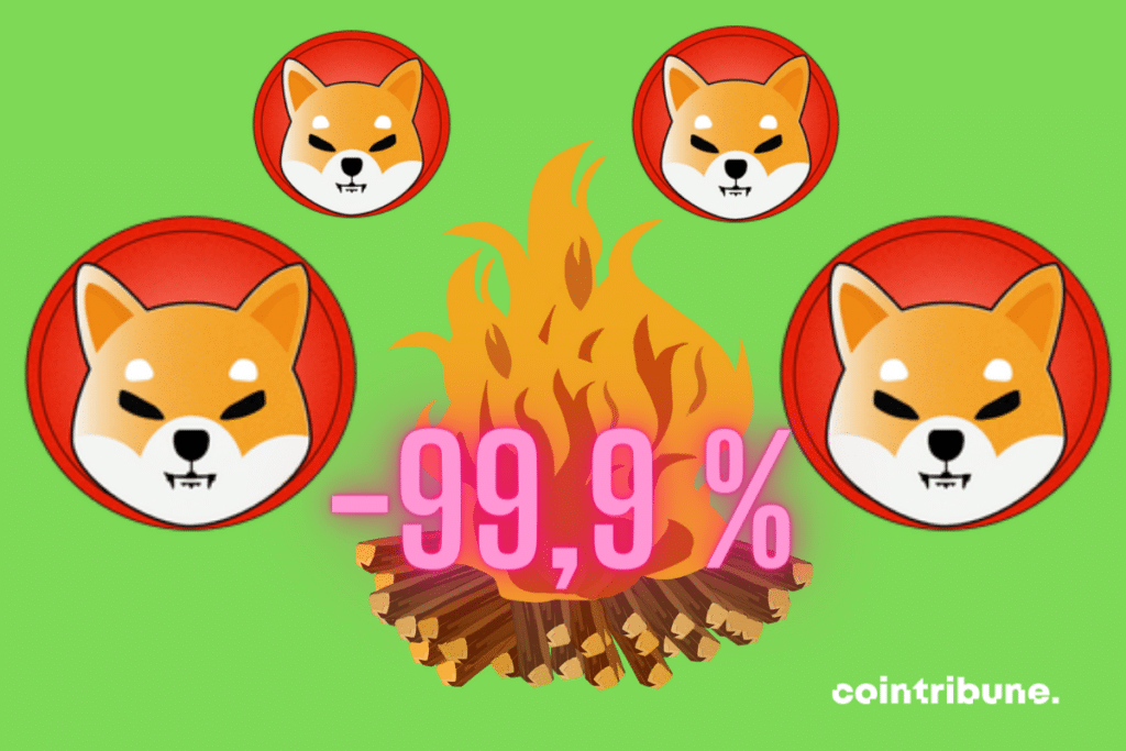 Vecteur feu, logos de Shiba Inu, mention "-99,9 %"