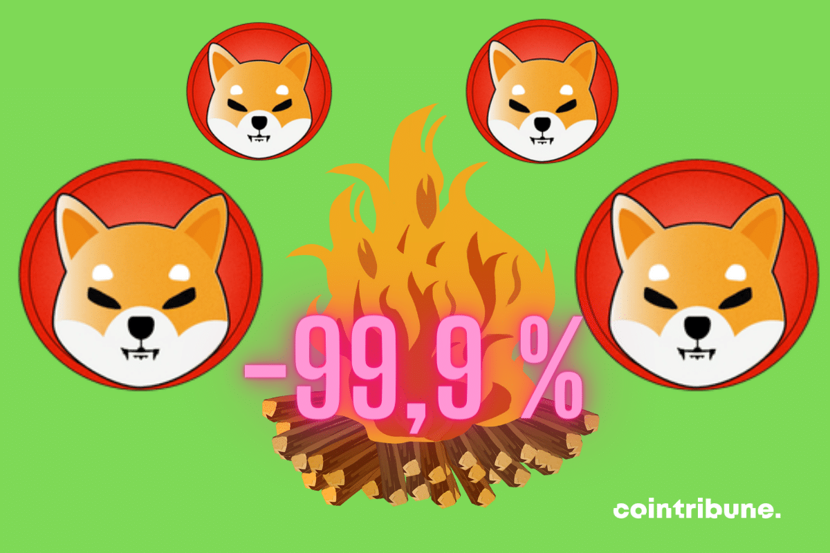 Vecteur feu, logos de Shiba Inu, mention "-99,9 %"