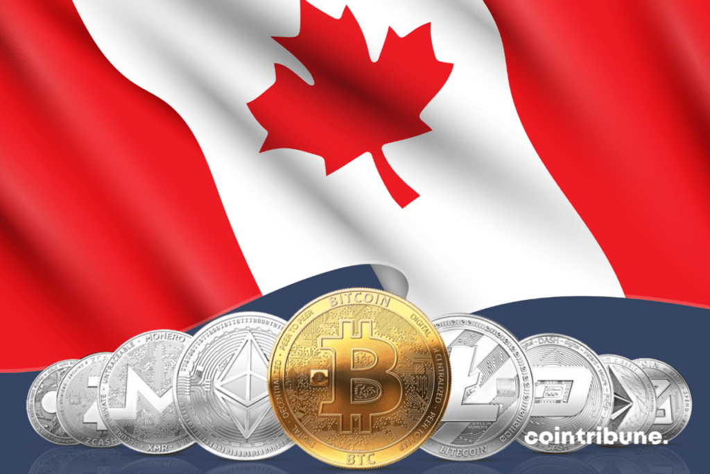 Canadian flag, cryptocurrency coins
