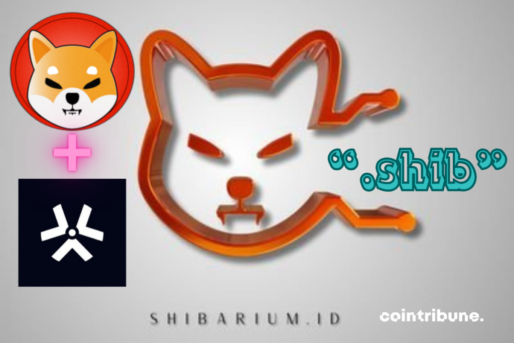 Logos de Shibarium ID, Shiba et D2, mention ".shib"