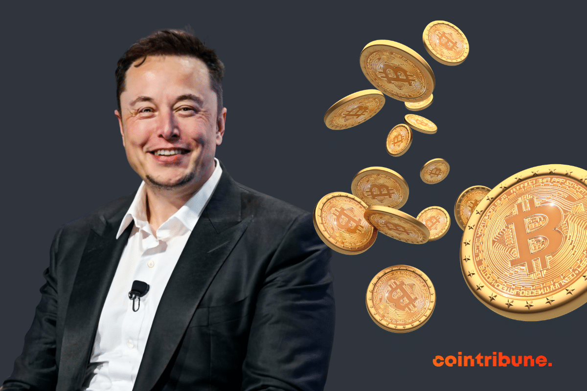Des pièces de la crypto phare et une photo d'Elon Musk
