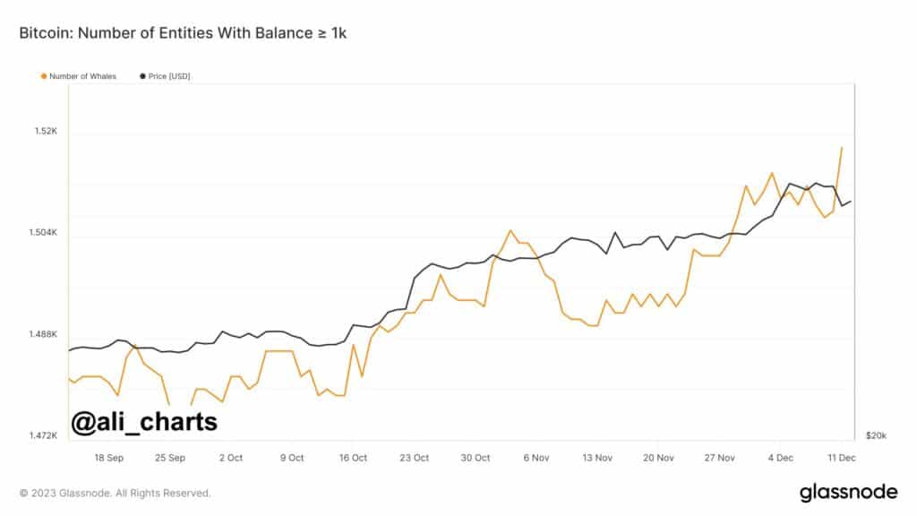 Bitcoin détenteurs