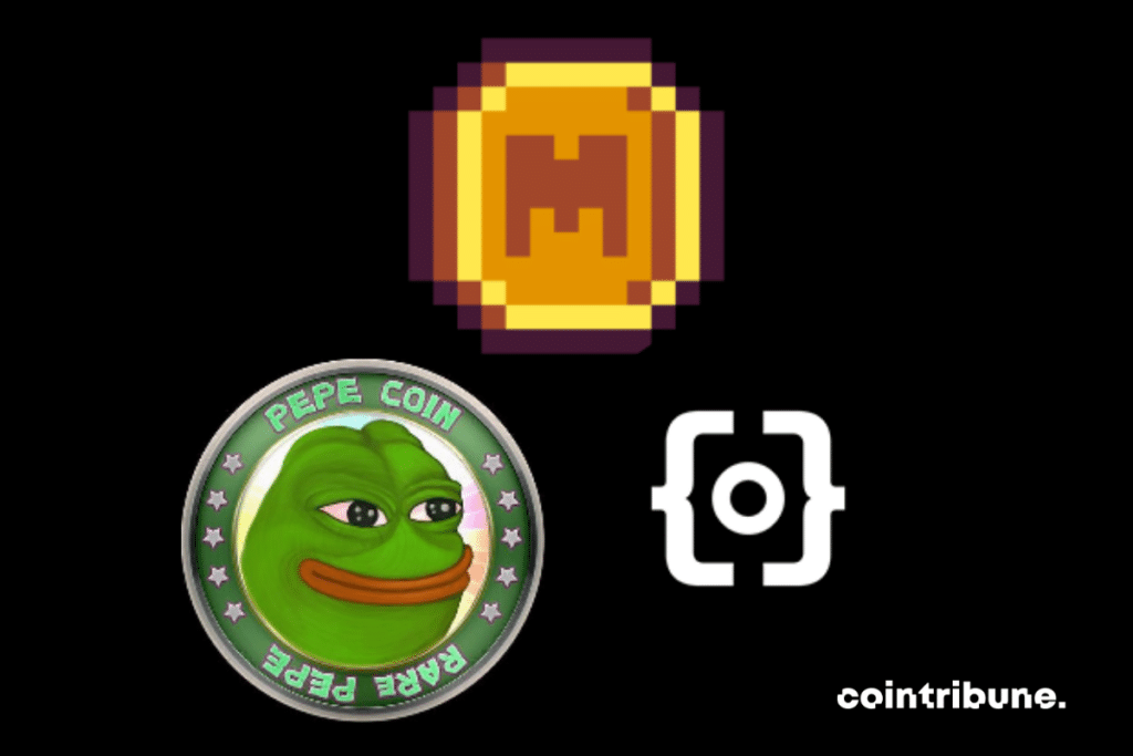 PEPE, MEME et ORDI : Les principaux tokens BRC-20