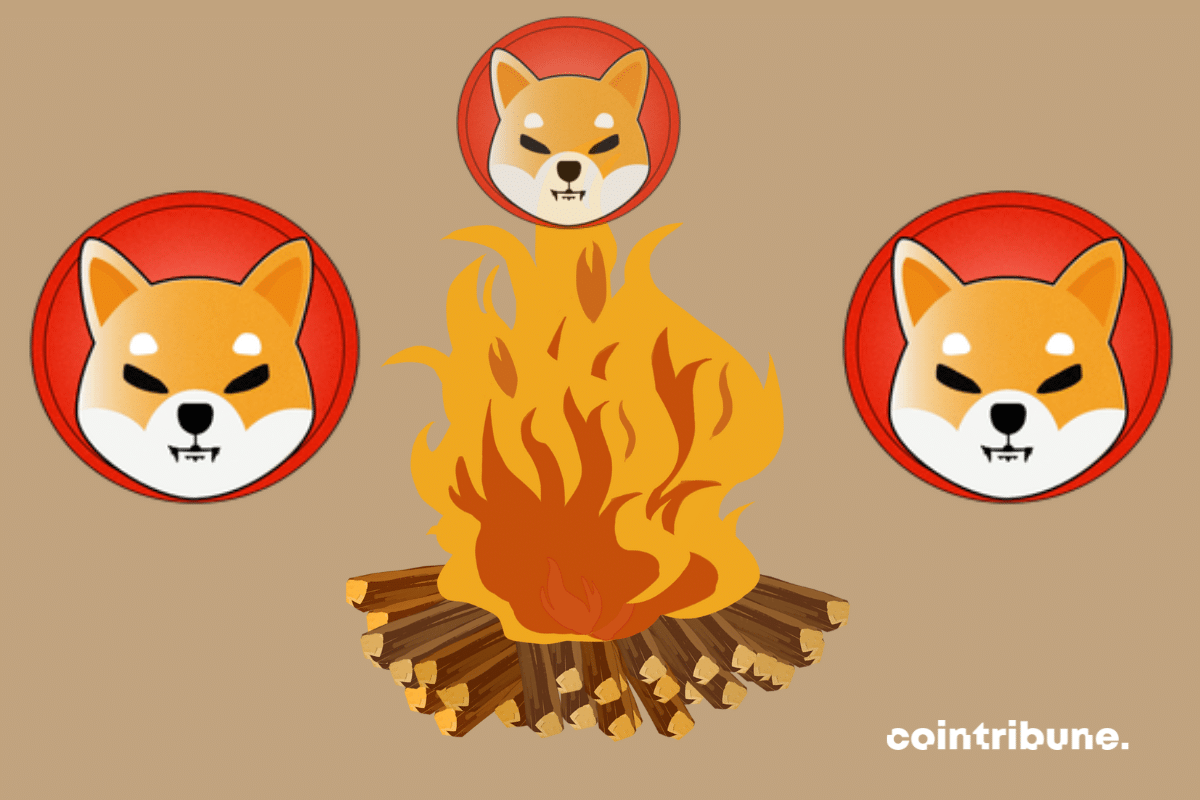 Vecteur feu, logos de Shiba Inu