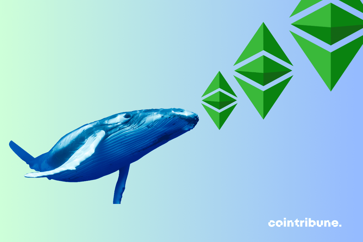 Image de baleine, logos d'Ethereum