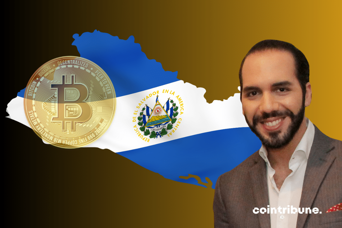 Une pièce de bitcoin, le drapeau de l'Argentine et une photo de Nayib Bukele