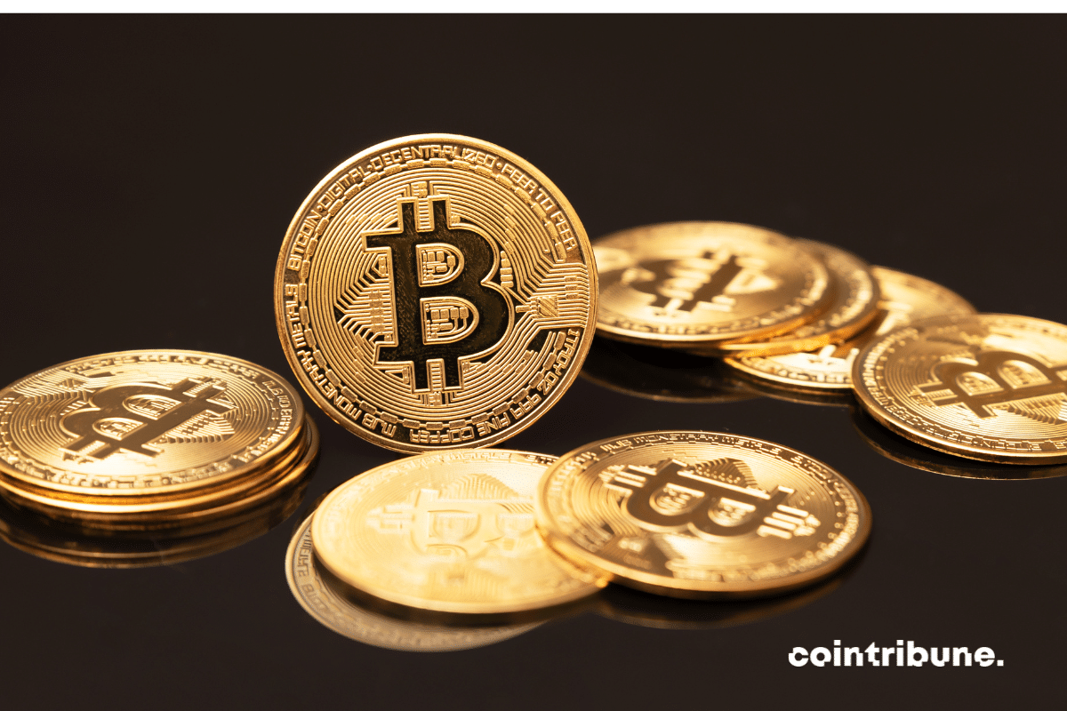 Quelques pièces du bitcoin, la crypto phare