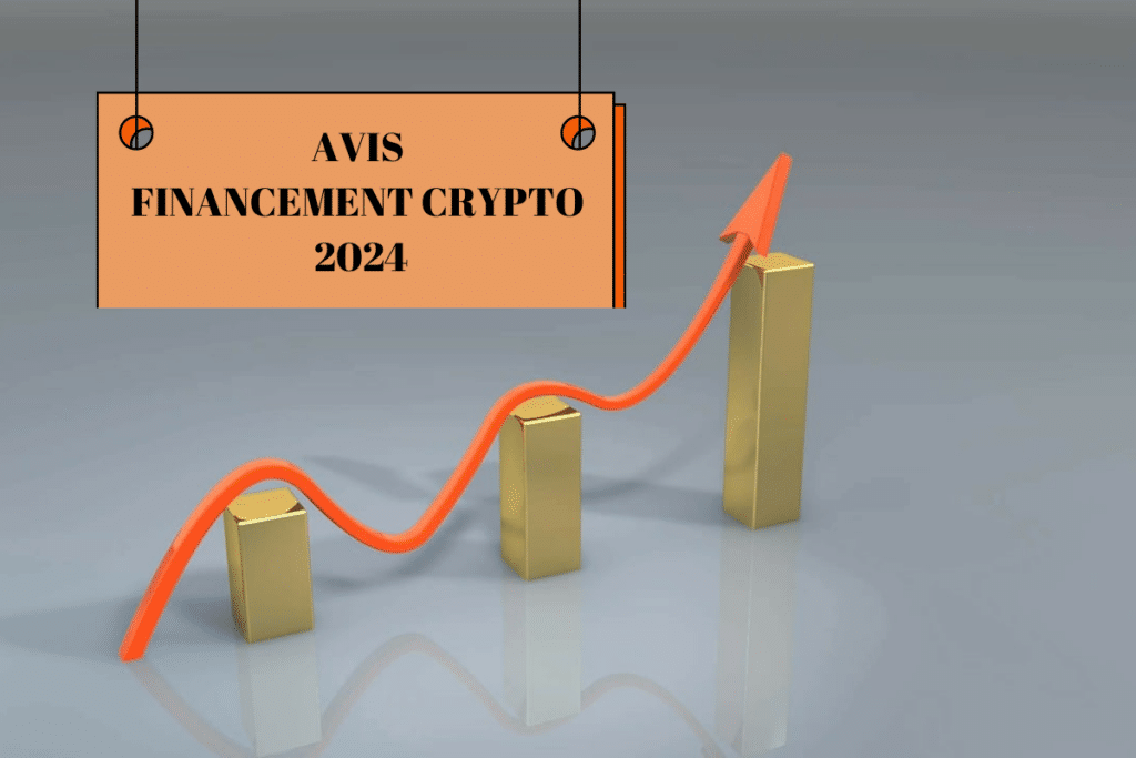 Avis financement crypto 2024