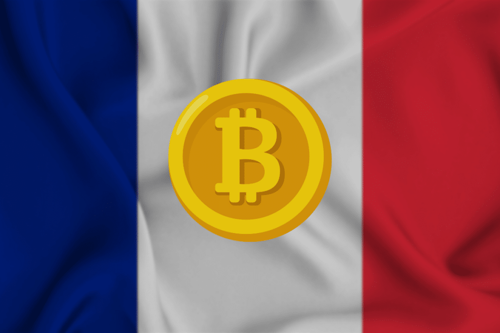 Adoption crypto France