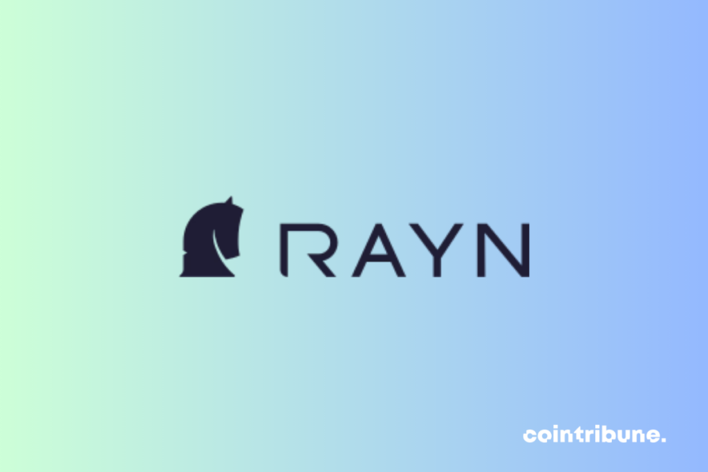 logo de rayn