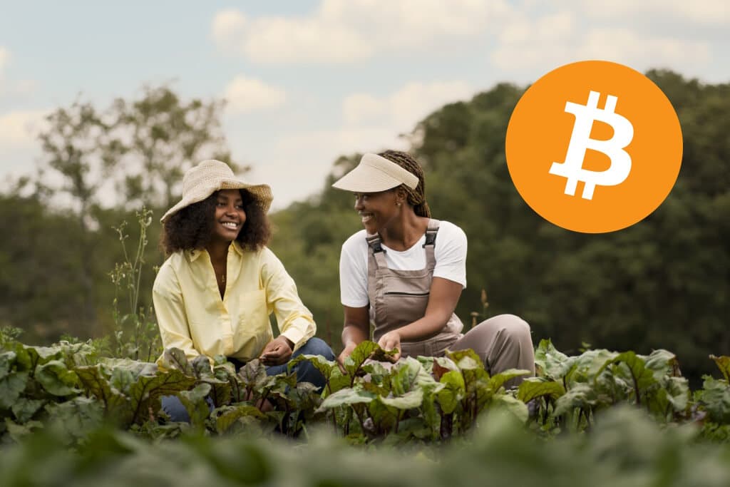 bitcoin agriculture senegal