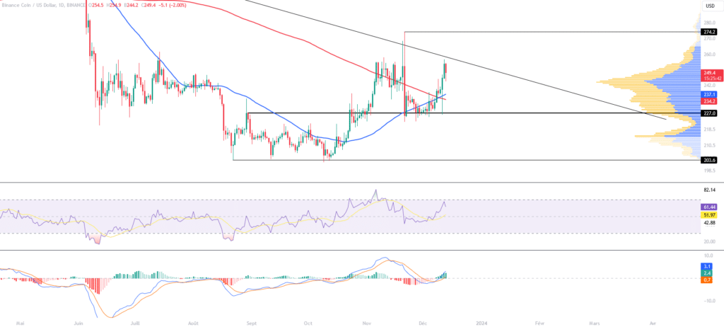 Graphique du BNB/USD en période journalière