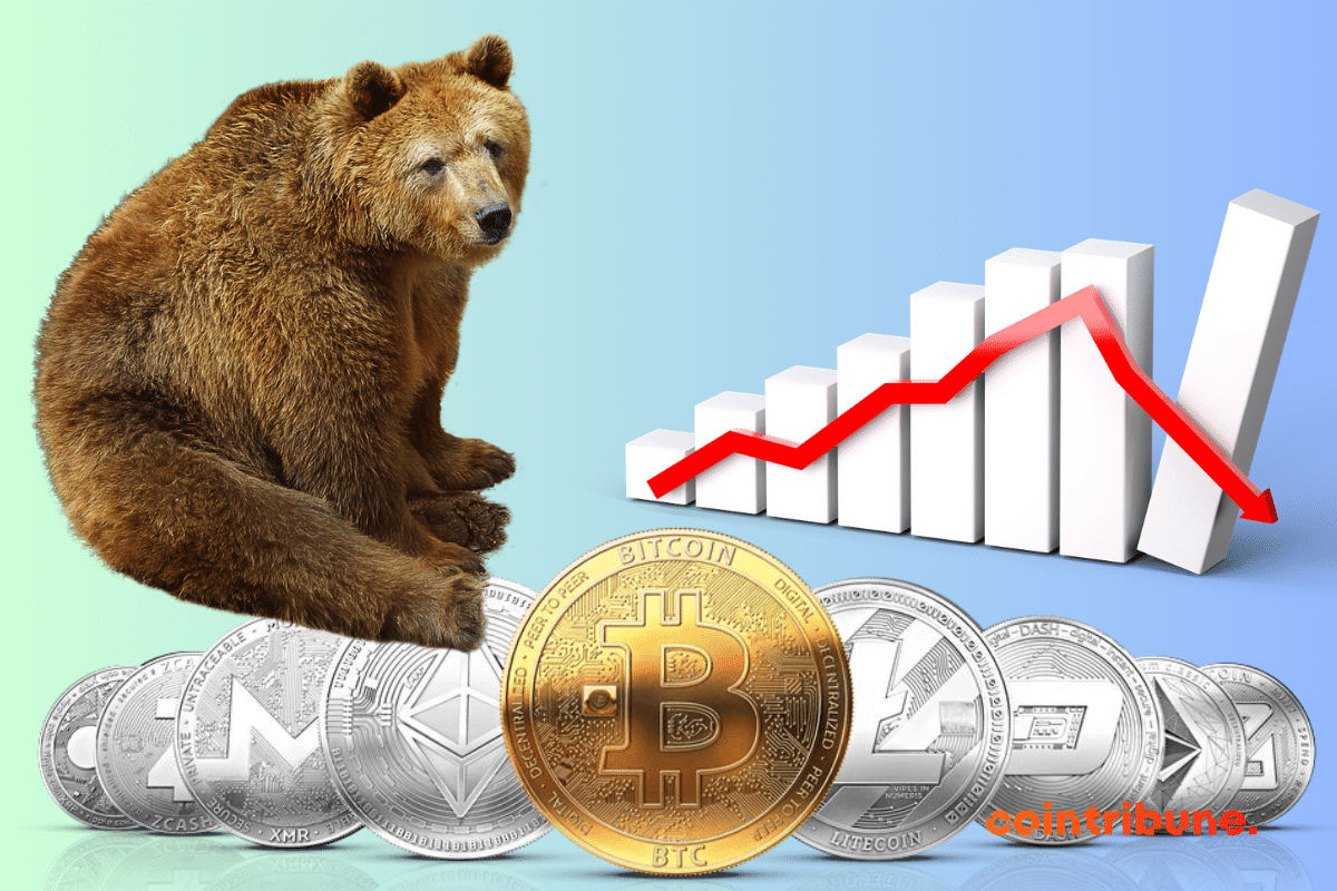 Bear image, pull-down chart, cryptocurrency coins