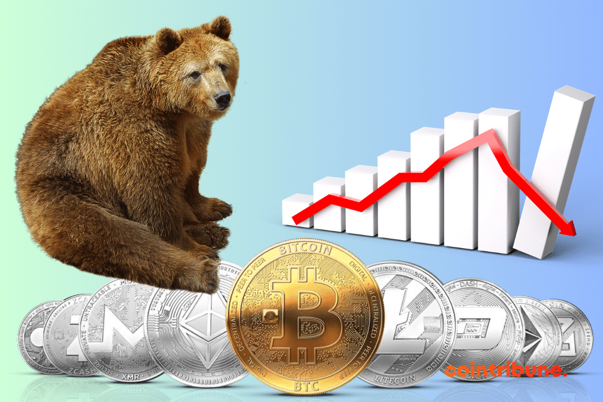 Image de bear, graphique tirant vers le bas, pièces de cryptomonnaies