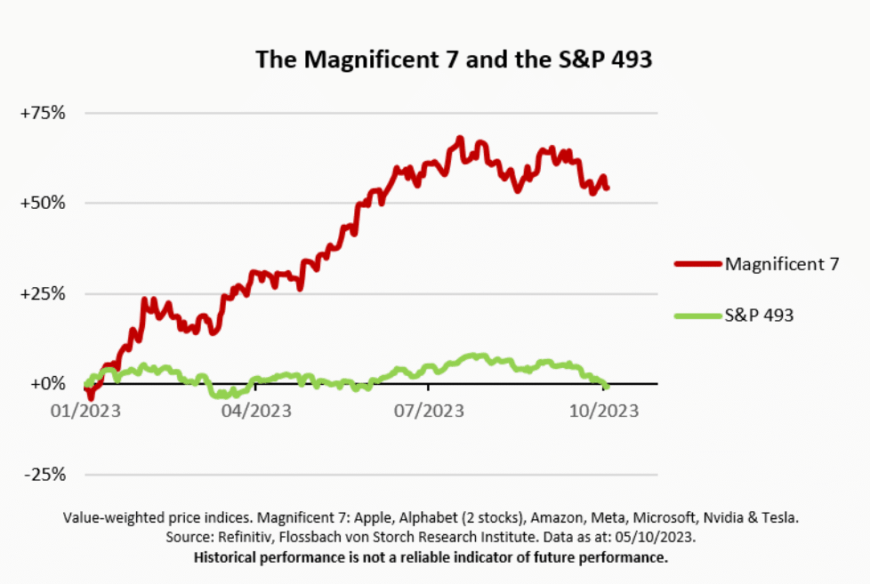 risques, 7 magnifiques, performance, aapl, tsla, nvda, msft, goog, amzn