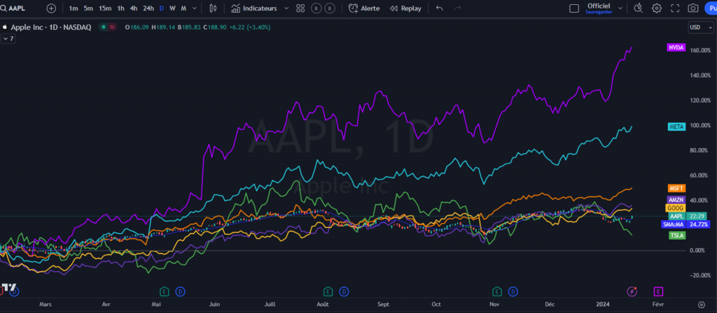 risques, 7 magnifiques, performance, aapl, tsla, nvda, msft, goog, amzn