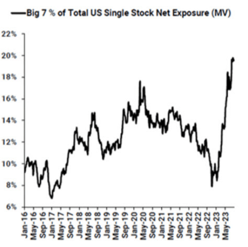 hedge fund,performance, magnificient 7