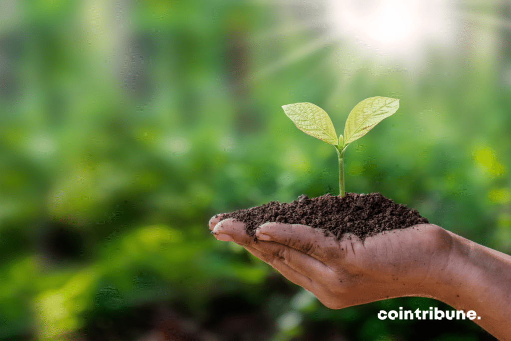 Ecological DAOs: Pioneers of decentralized environmental management through blockchain