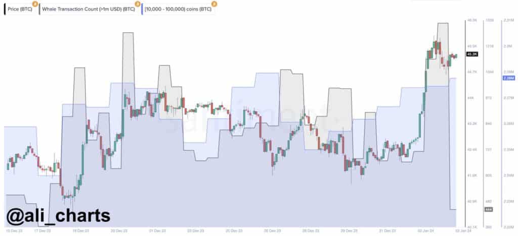 Dive deep into the recent Bitcoin surge past $45,000, revealing a trend orchestrated by one of the crypto whales