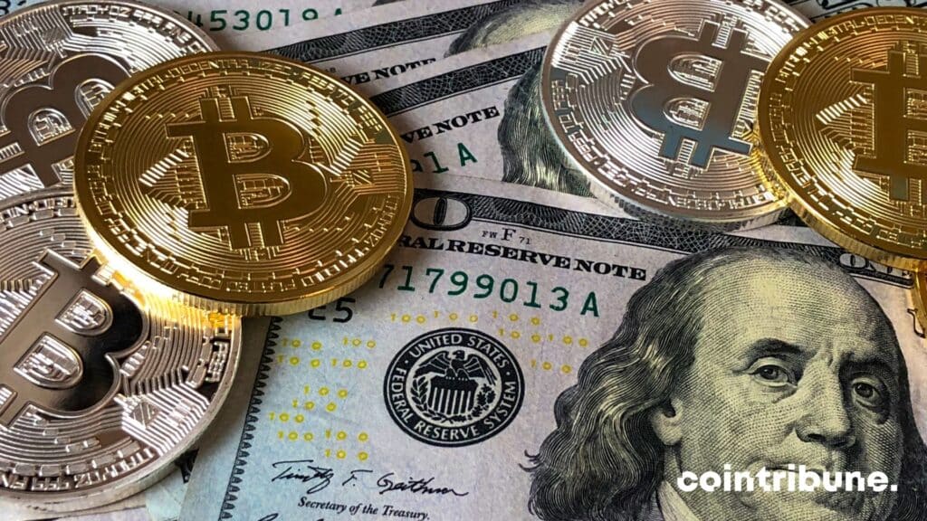 Bitcoin usd crypto