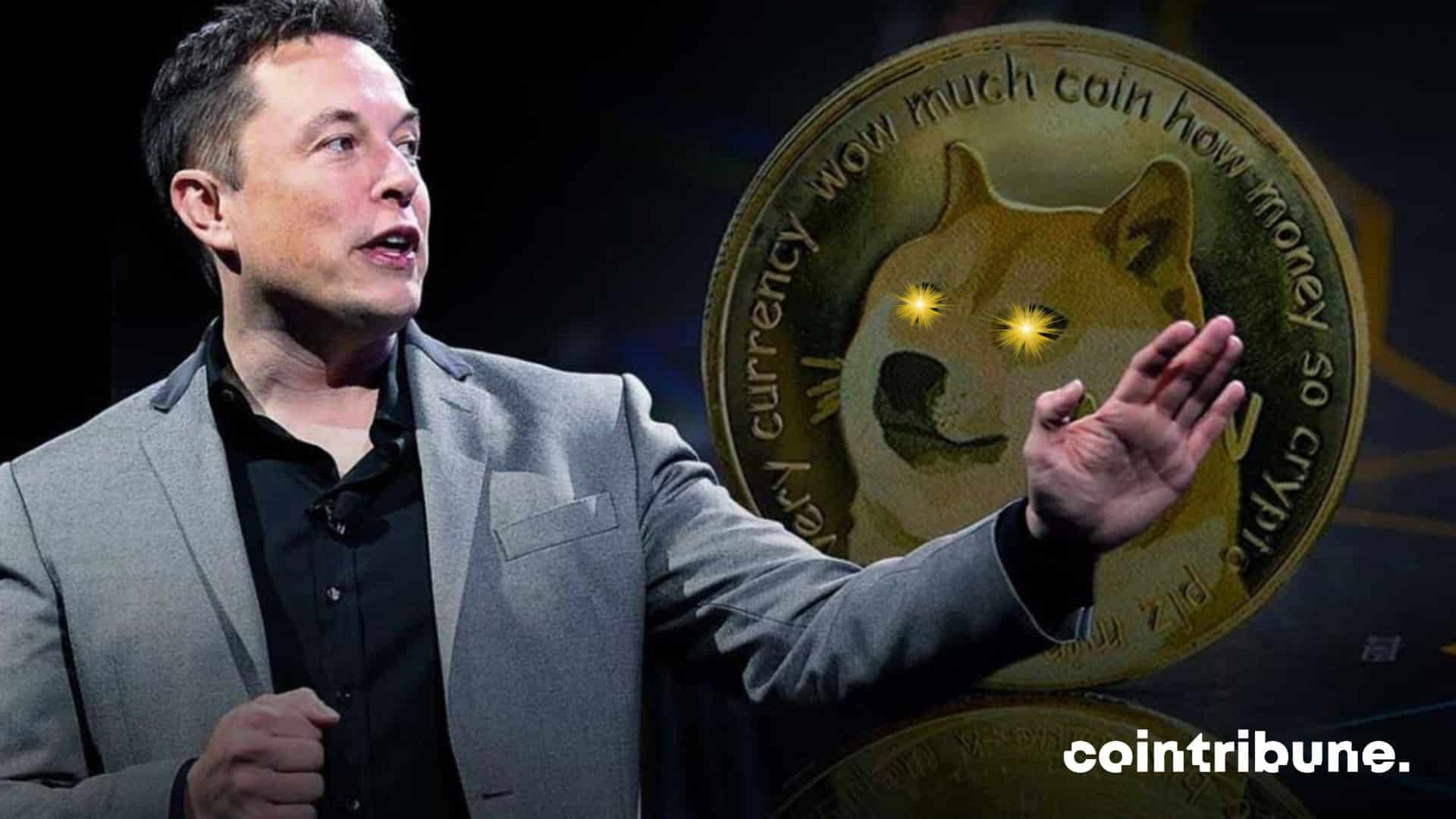 Crypto Dogecoin Elon Musk