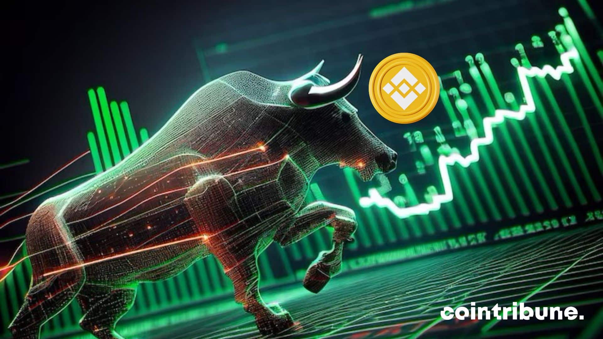 crypto altcoins bull run