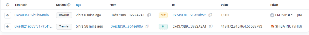 Etherscan data capture regarding the transfer of 419,873 SHIB.