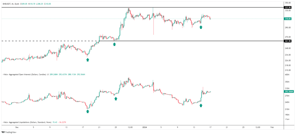 Open Interest & Liquidation BNBUSDT