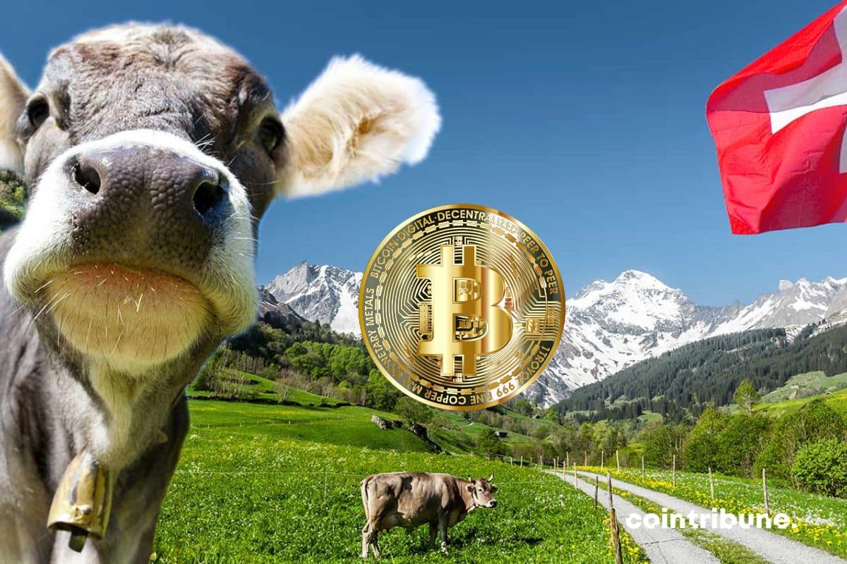 Crypto – Switzerland welcomes a blockchain-dedicated incubator!