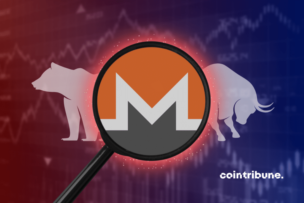 Logo XMR encadré par une loupe avec en fond un graphique en couleur ainsi qu’un taureau et un ours blanc.